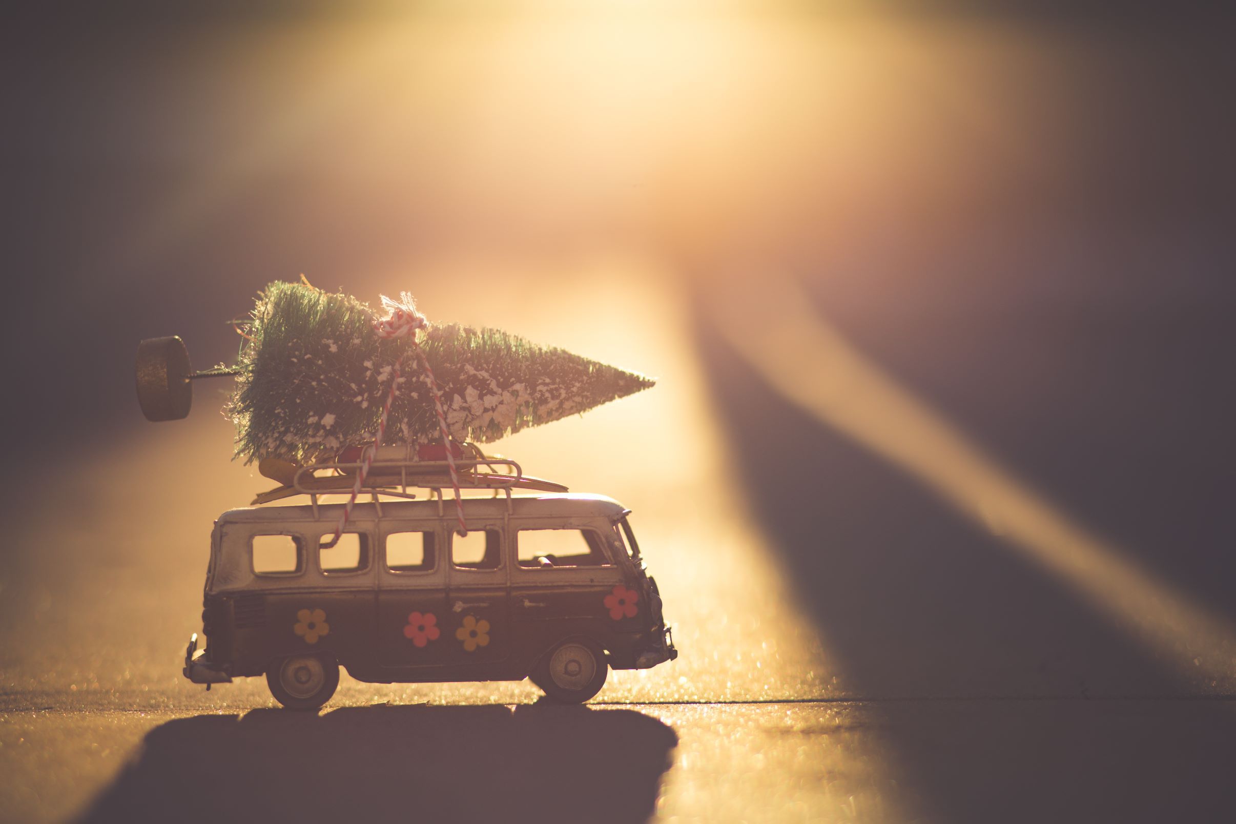 クリスマスバス.jpg